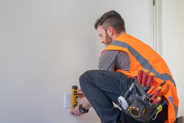 Best Local Electrician Companies  in Level Park Oak Park, MI